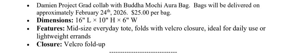 Buddha Mochi collab bag